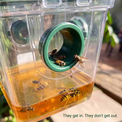 YardCalm Solar Insect Trap