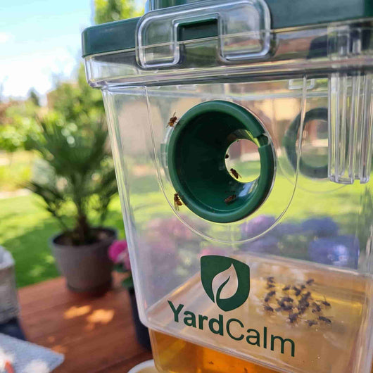 YardCalm Solar Insect Trap