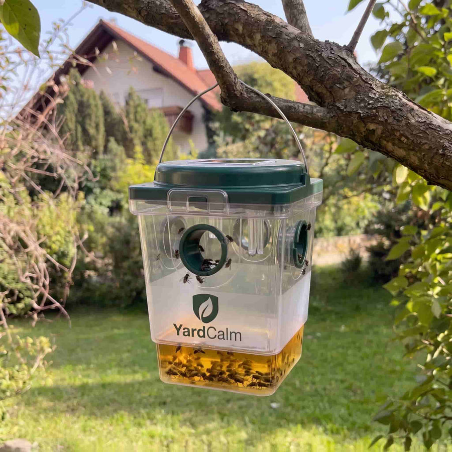 The YardCalm trap hanging in the yard, its base full of trapped flies